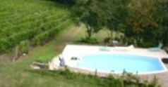 La piscine du domaine au bord des vignes