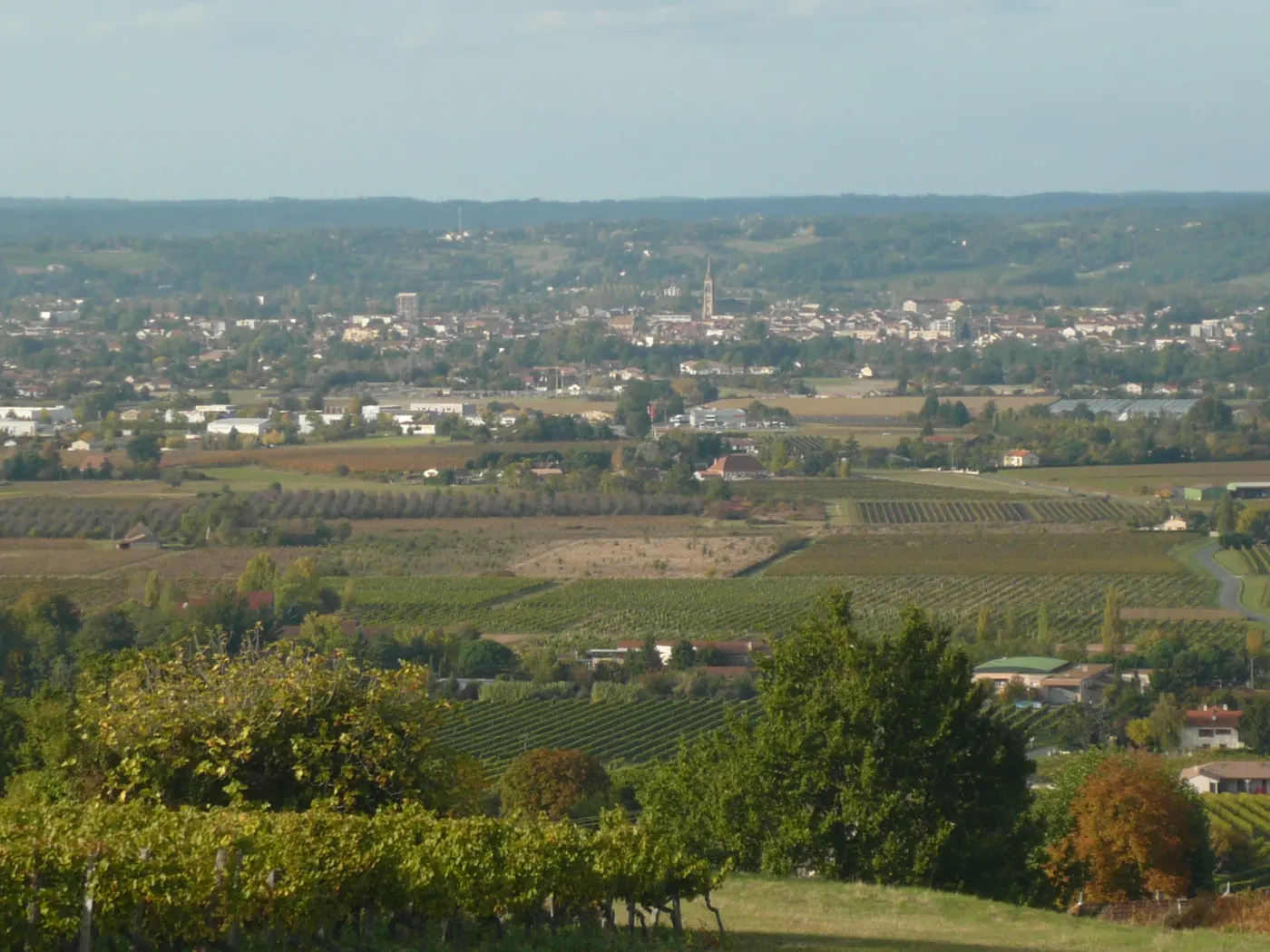 Vue sur Bergerac et la vallée de la Dordogne depuis la côte de Monbazillac
